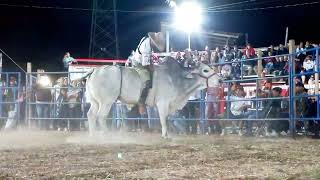 ESTRELLA DE HUITZUCO VS EL TOXICO / MAZATLAN GRO