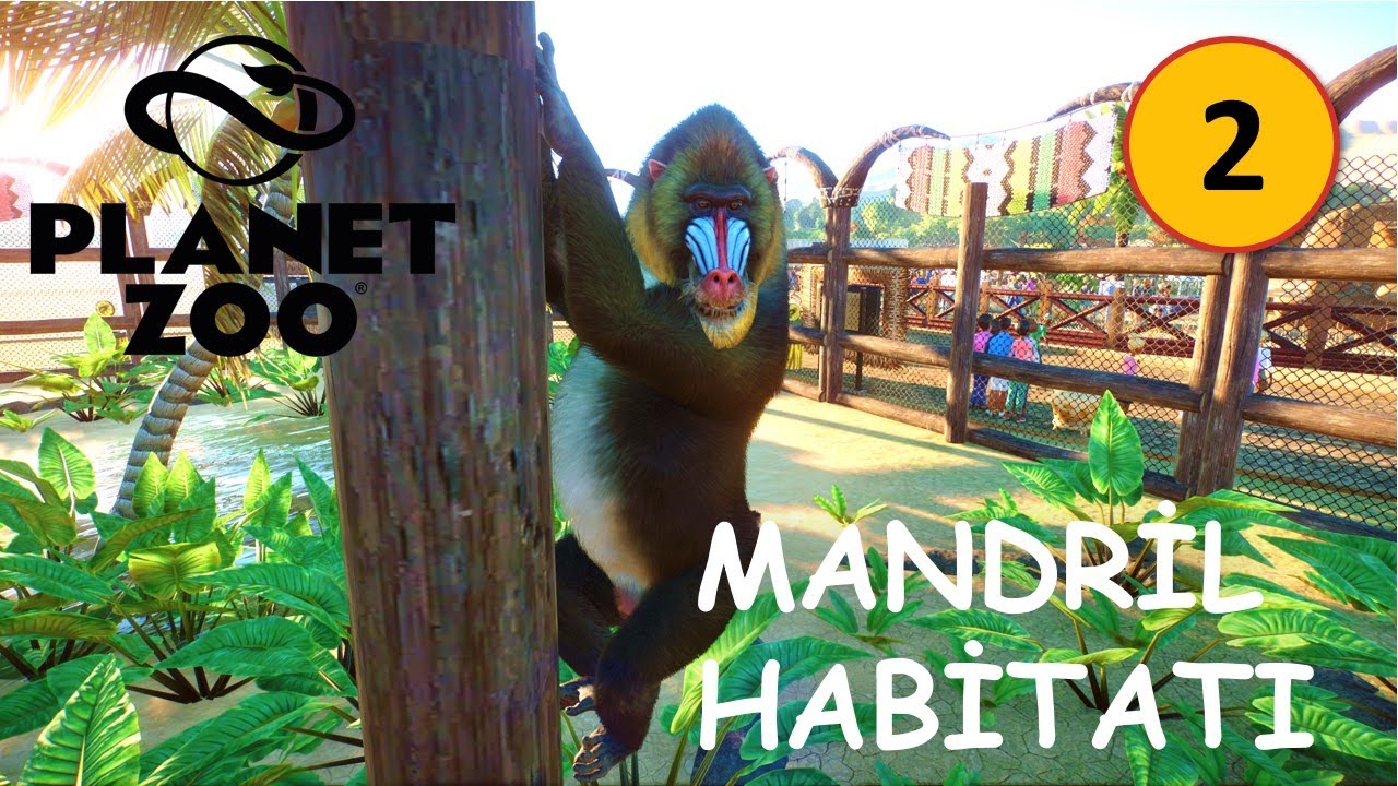 Foo Zoo Lee Bölüm 2  - Mandril - Planet Zoo Gameplay (S1-B2 | Türkçe)