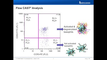 Flow CAST® Procedure Steps (Overview)