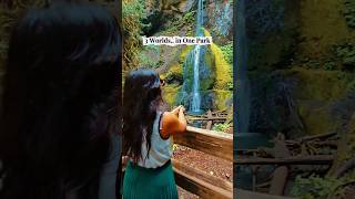 Most underrated national park in the USA?#nature  #washington  #travel #nationalpark #peace