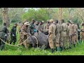 HISTORY MADE: Uganda’s First-Ever Rhino Translocation | A Conservation Milestone