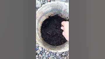 How To Make SUPERCHARGED Biochar Easily!