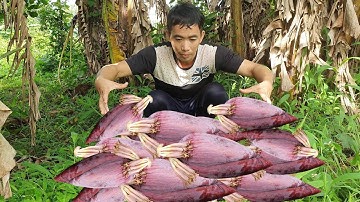 Một kg bao nhiêu tiền? | leo núi hái bắp chuối về bán kiếm tiền và cái kết