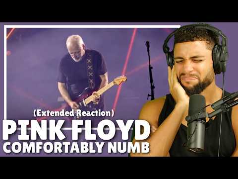 I CAN'T GET ENOUGH!! Pink Floyd - Comfortably Numb Live in Pompeii 2016 Reaction! + Lyrical Analysis