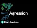 Aggression | Individuals and Society | MCAT | Khan Academy