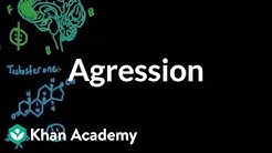 Aggression | Individuals and Society | MCAT | Khan Academy 