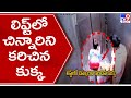 CCTV footage: Dog bites boy in lift, owner looks on