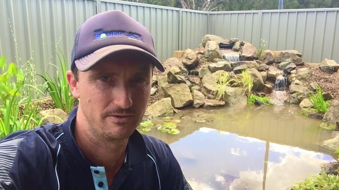 Get Help With Pond Filtration | The Pond Place