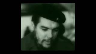 Che the leader whatsapp status 