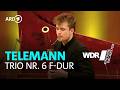 Telemann - Trio Nr. 6 F-Dur aus: Sechs Trios | WDR Sinfonieorchester