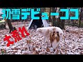 寒波襲来！2日目(カルビ焼き肉定食)(ココが初雪デビュー)(奥琵琶湖後編)(ソロキャンプ＋ワンズ3)