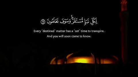 تلاوة بديعة من سورة الأنعام | مقتطف من تراويح 1446 هـ Quranic Serenity القارئ تركي المخيلدي #قرآن 