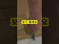 택배 러버를 위한 쿠팡 꿀템 #쿠팡추천템 #추천 #택배
