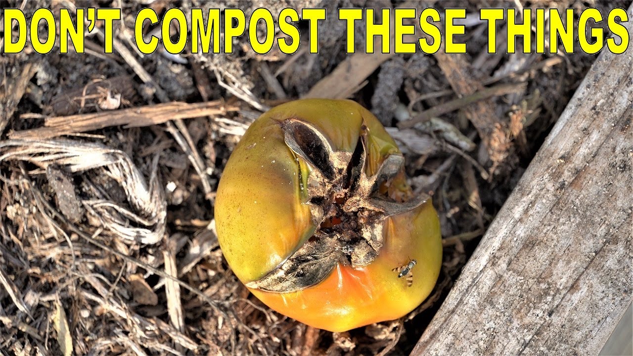 NEVER Compost These Things: Reduce Garden Pests, Weeds And Disease