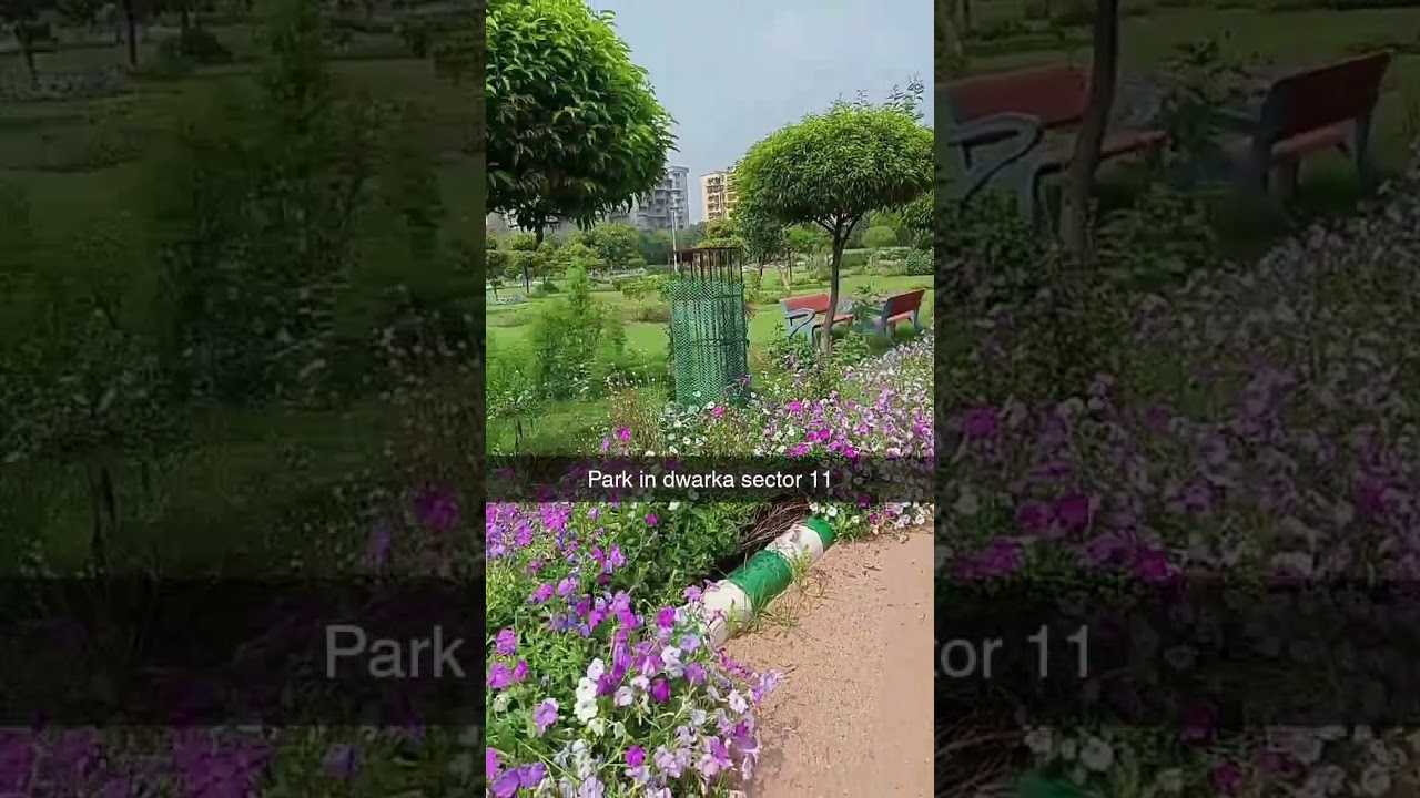 park in dwarka sector 11