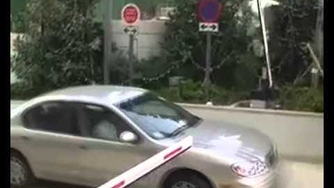 LEAMRA RFID Parking System