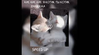 кис кис кис я котик ты котик -zhanulka  speed up