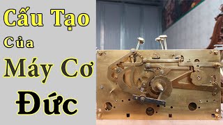 Cấu Tạo Và Hoạt Động Của 1 Chiếc Đồng Hồ Cơ | Đồng Hồ Cơ Đức | Đồng Hồ Cây