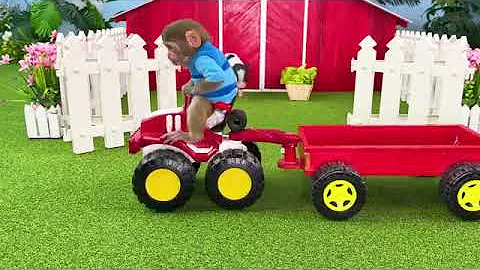 Monkey Baby Bon Bon goes shark fishing and eats watermelon and ducklings in the garden 🐒🐵🦈🦈