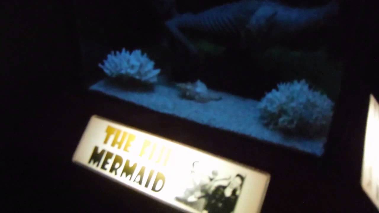 The Wax Works and Ripley's Believe It Or Not Newport, Oregon YouTube