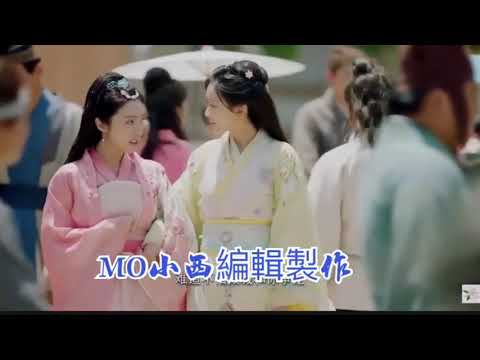 旺角MO小西制作張德蘭《落花淚影》簡直令人眼前一亮