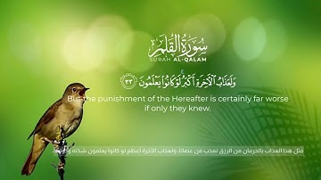 سورة القلم كاملة /القارئ شريف مصطفى قرآن كريم#سورة_القلم