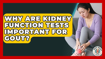 Why Are Kidney Function Tests Important For Gout? - Gout Relief Guide