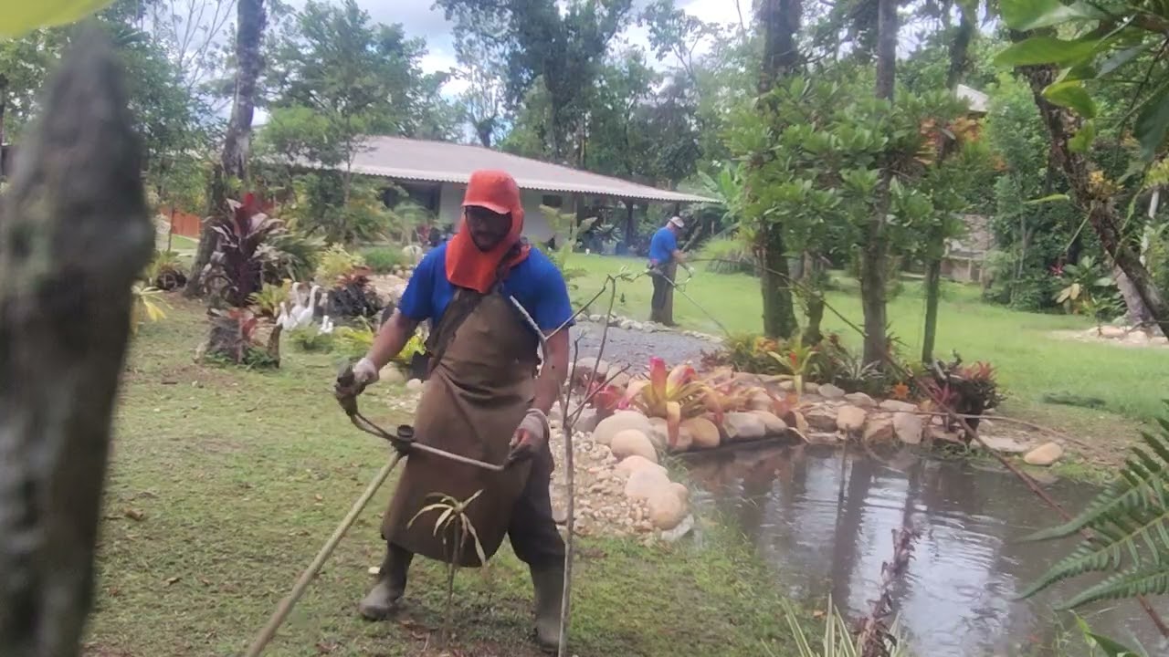 Dia de cortar grama...