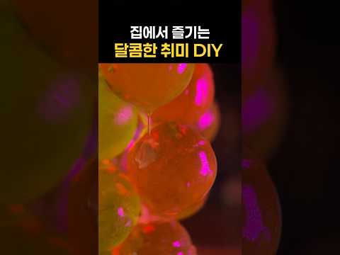 놀러오는 손님마다 이거 뭐냐고 물어봐요~ #꿀팁 #꿀템