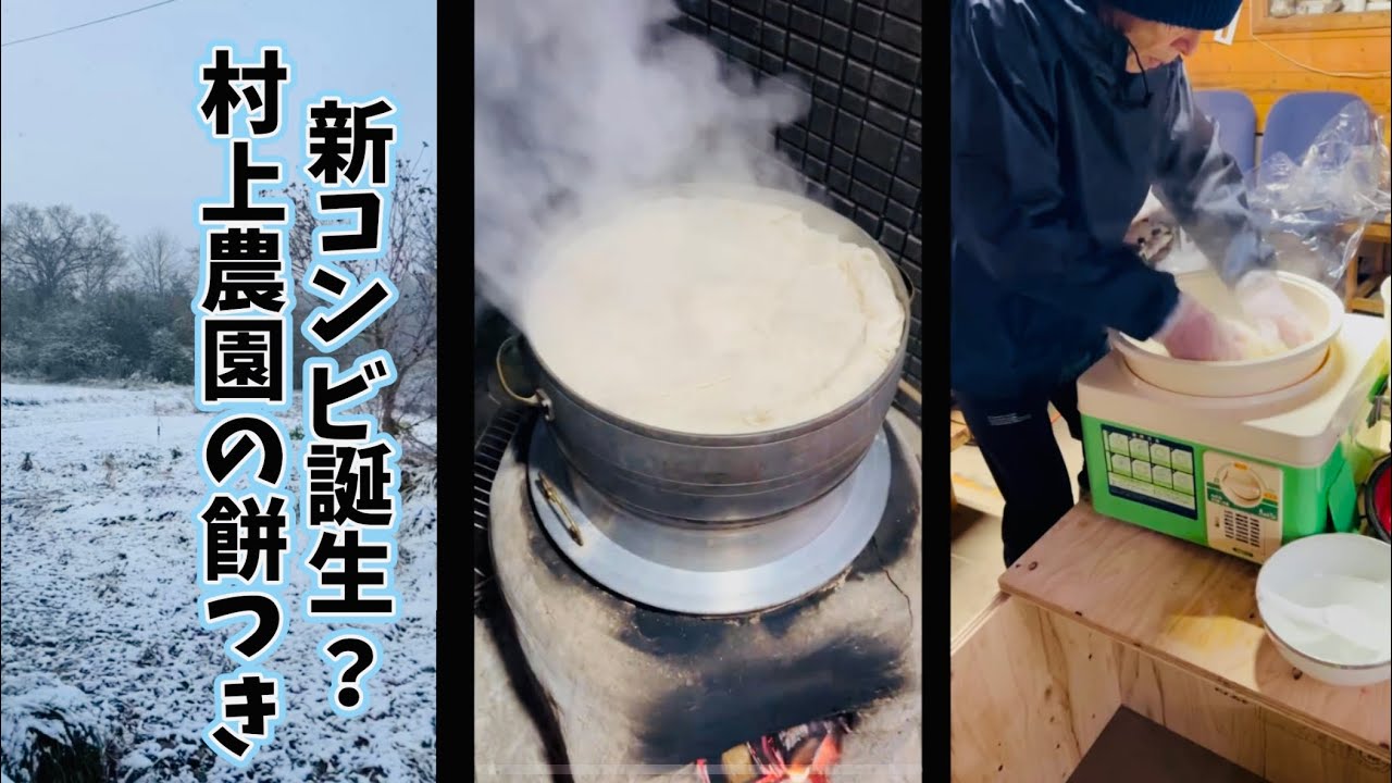 新コンビ誕生？ 村上農園の餅つき