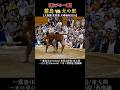 【中入り取組】霧島 vs 大の里❗【大相撲 夏巡業 大崎場所 2026】SUMO