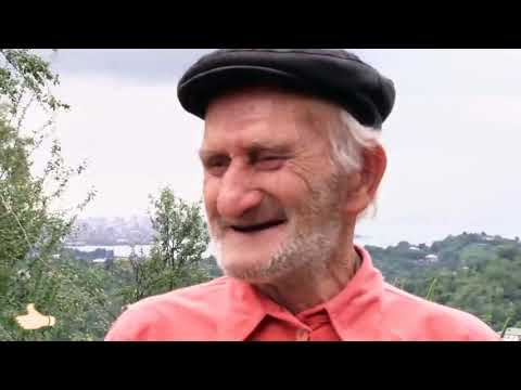 მხიარული აჭარელი ბაბუ გამგეობის დაპირებებზე.)