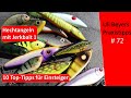 Hechtangeln mit Jerkbait #1