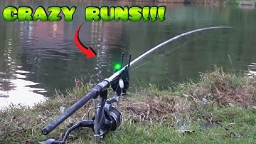 CRAZY CARP RUN COMPILATION! 2025 #1