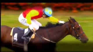 NZ OAKS TEASER