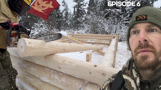 Winter Log Cabin Build on OffGrid Homestead |EP6|