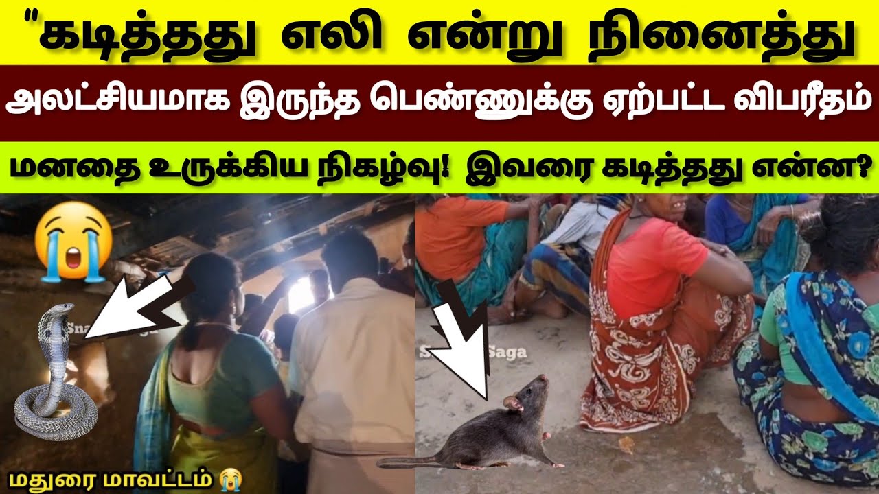 இந்த பெண்ணை கடித்து என்ன? | பாம்பு மனிதனை கடித்த பிறகு பாம்புக்கு கண் தெரியுமா?  தெரியாதா? |