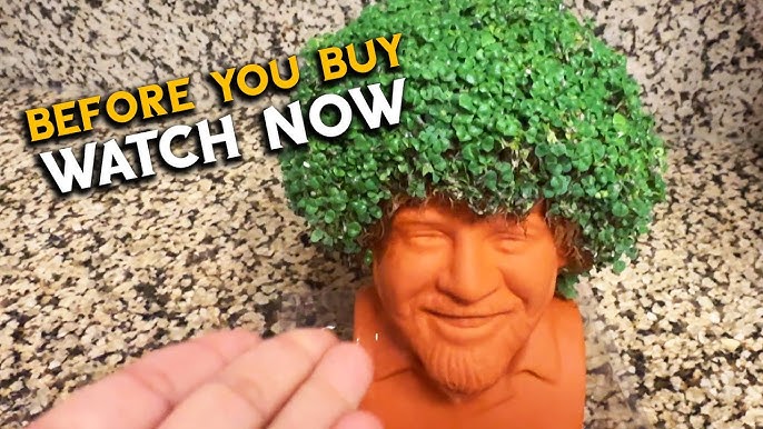 2020 Chia Pets - Richard Simmons - Bob Ross - Chia Hedgehog - Chia