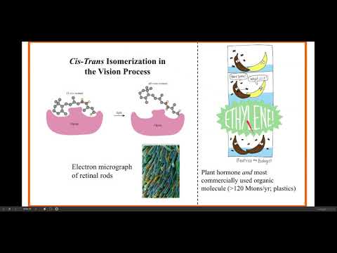 Ch.24-Organic_Chem Notes - Part 2