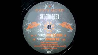 Salamander - Tempest (Union Jack Remix)