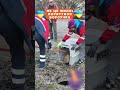 Як це мило Порятунок борсучка 