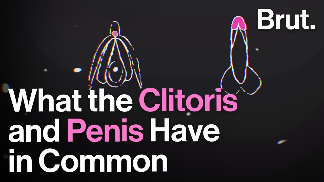 Clitor Penis