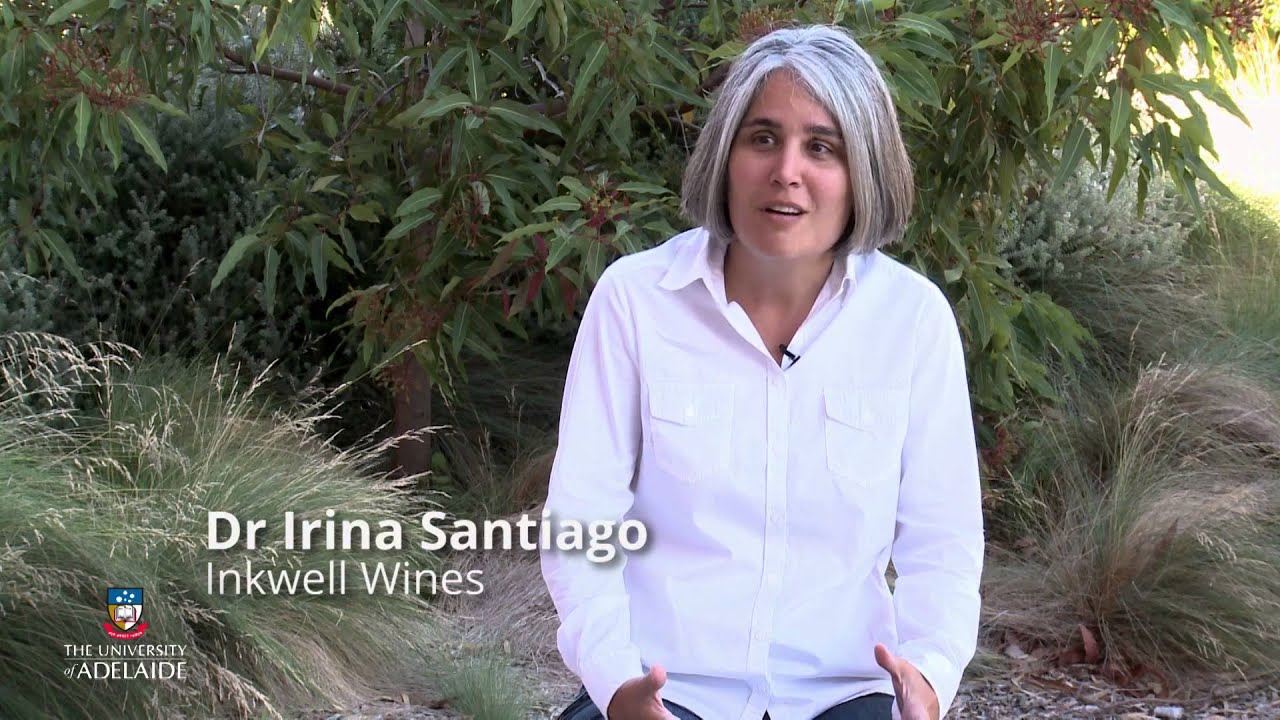 World of Wine: What we love about wine