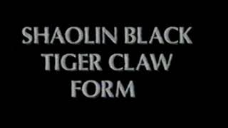 Download Lagu BLACK TIGER SHAOLIN MP3