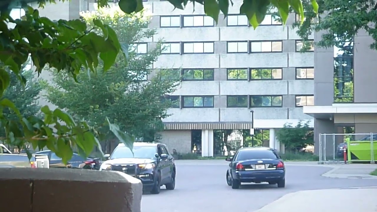 Inattentive Driving Citation Written After 1st Amendment Free Speech