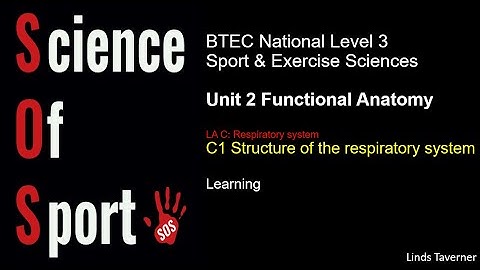 Unit 2 Functional Anatomy - C1 Structure of respiratory system