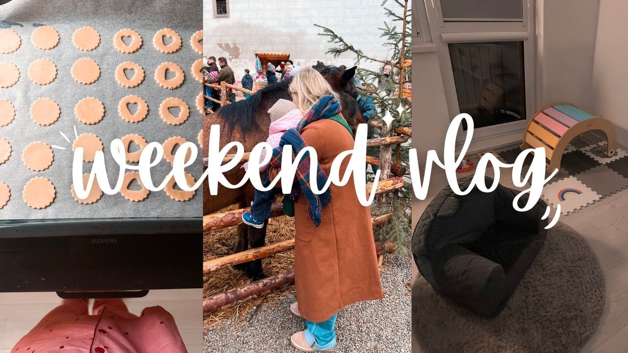 PŘEDĚLÁVKA CILKY KOUTKU, PRVNÍ PEČENÍ A RODINNÁ NEDĚLE