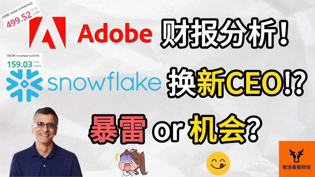 Adobe财报分析! Snowflake换新CEO! 暴雷 or 抄底机会? 估值/基本面分析!【美股分析】