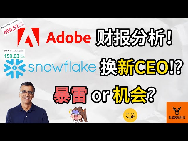 Adobe财报分析! Snowflake换新CEO! 暴雷 or 抄底机会? 估值/基本面分析!【美股分析】