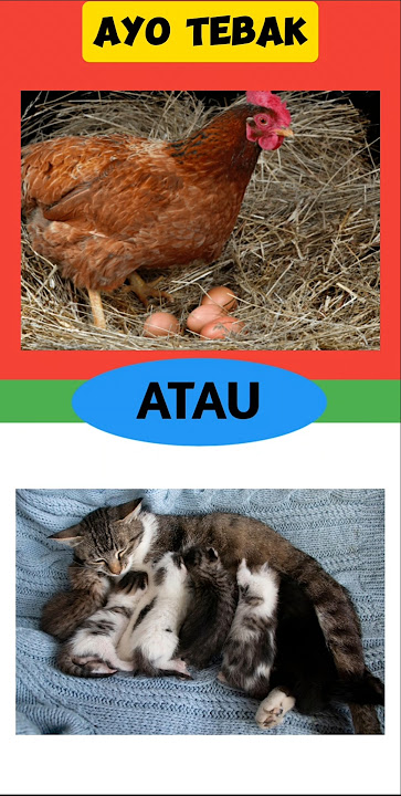 AYO TEBAK ❗️part433 #tebakgambar #tebaktebakan #tekateki #shorts